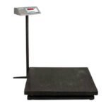 Series P10 Heavy Duty 1000kg/100gm